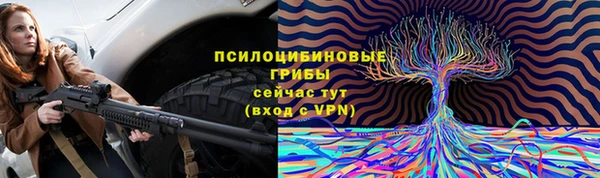 стаф Абдулино